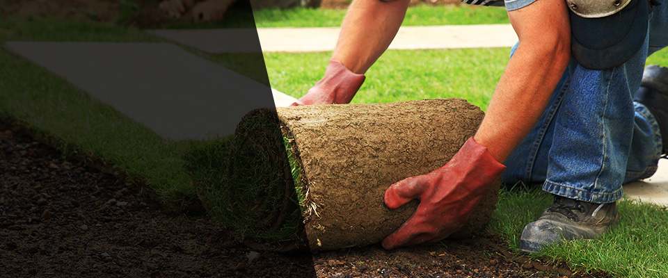 Fayetteville Landscapers